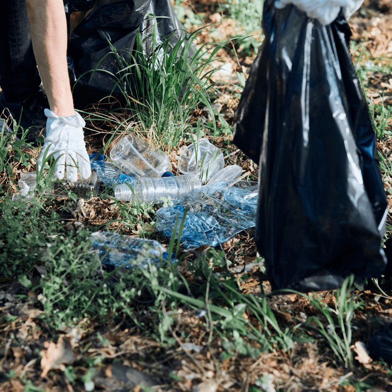 cleaning up plastic pollution in the park