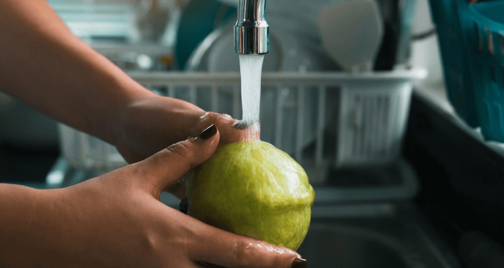 washing a guava with tap water in texas washing a guava with tap water in texas