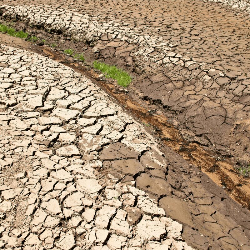 dry river bed because of drought