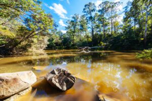 Warrandyte River Reserve in Melbourne Australia river water