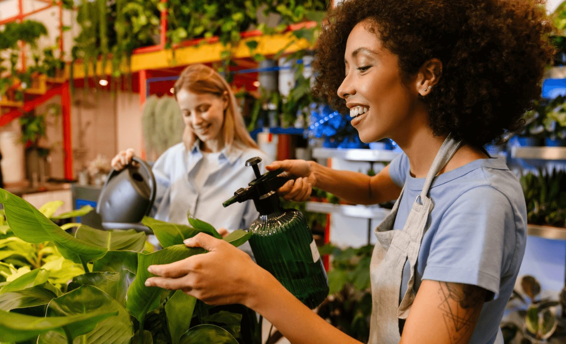 how texas water affects plants How Texas Water Affects Your Plants