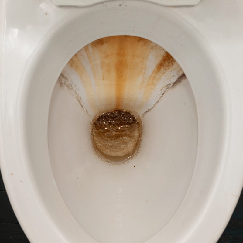 white-toilet-with-shell-inside rust and hard water stains in a residential toilet