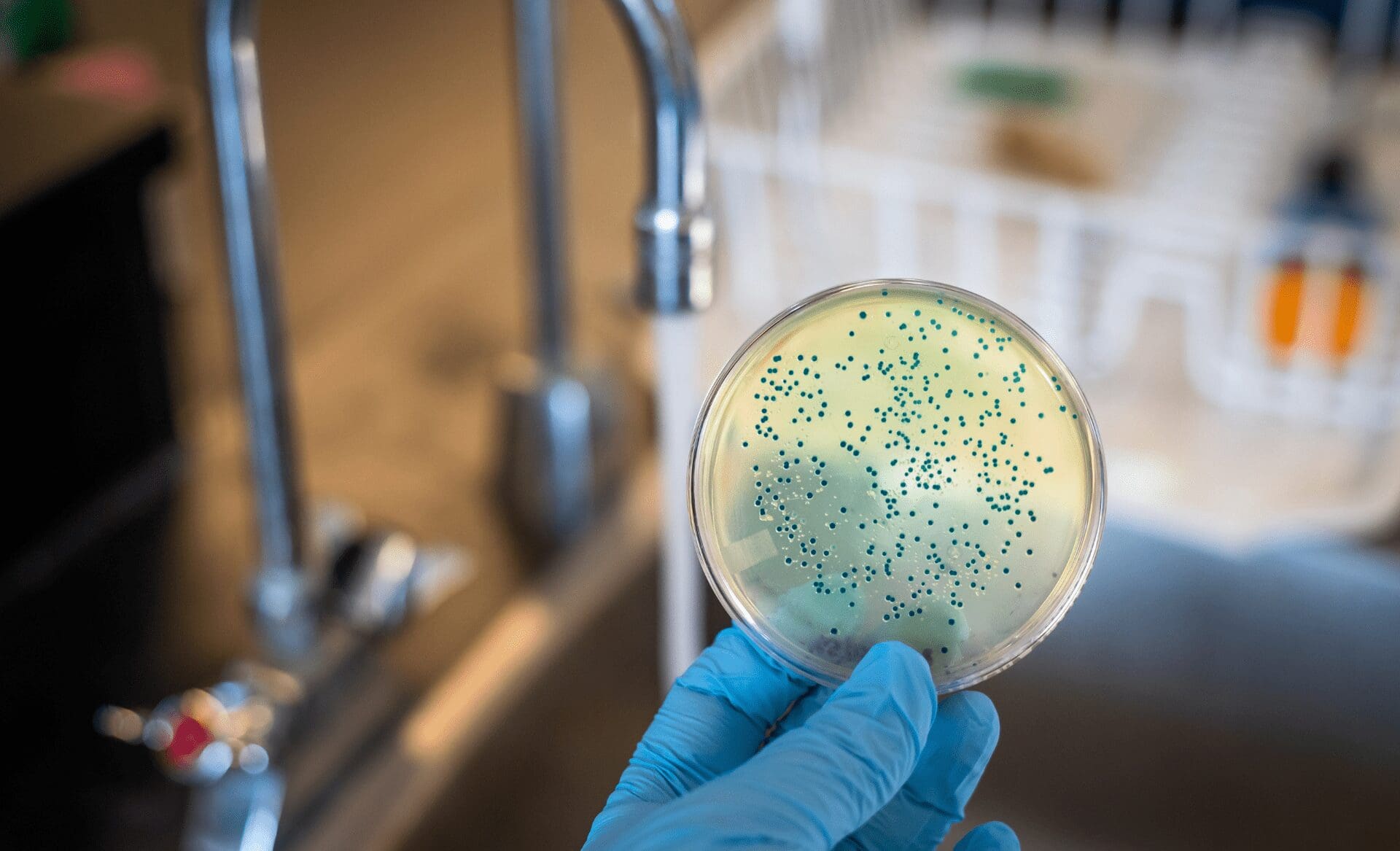 E. coli Outbreaks- What South Texas Schools Teach Us About Water Safety E. coli outbreaks